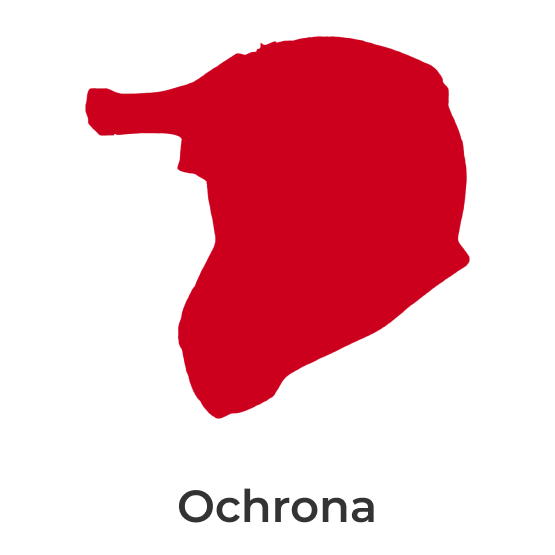 Ochrona