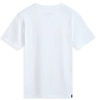 Koszulka T-Shirt Alpinestars Aligned CSF white