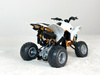 Model quada Honda TRX 450R 1:12 New Ray