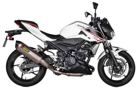 Tłumik Akrapovic Slip-On Line Kawasaki EX 400