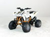 Model quada Honda TRX 450R 1:12 New Ray